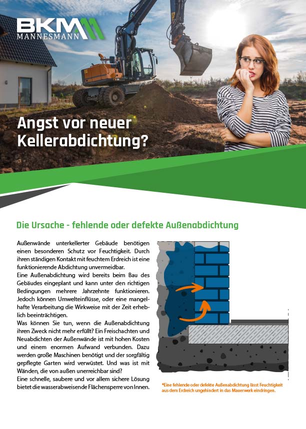  BKM-Systemlösungen: Flächensperre 