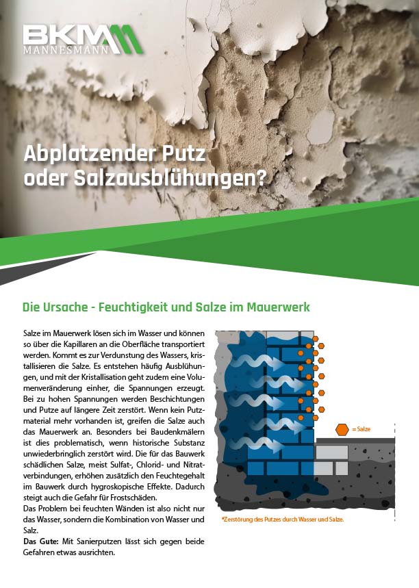 BKM-Systemlösungen: Sanierputzsystem 