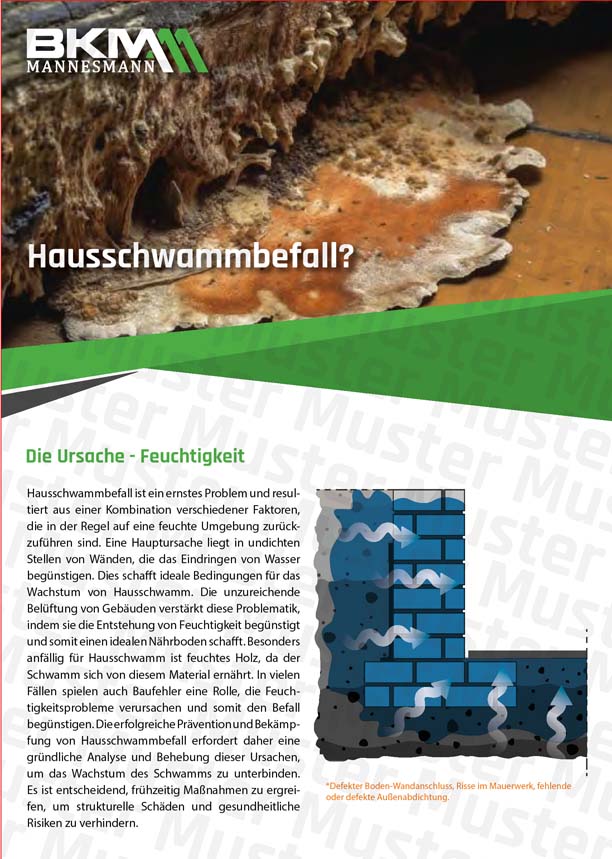 BKM-Systemlösungen: Hausschwammblocker 