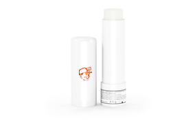 Lippenpflegestifte Basic
